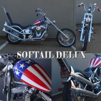 SOFTAIL DELUX GROUP